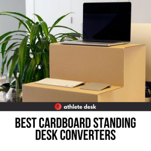 Best Cardboard Standing Desk Converter