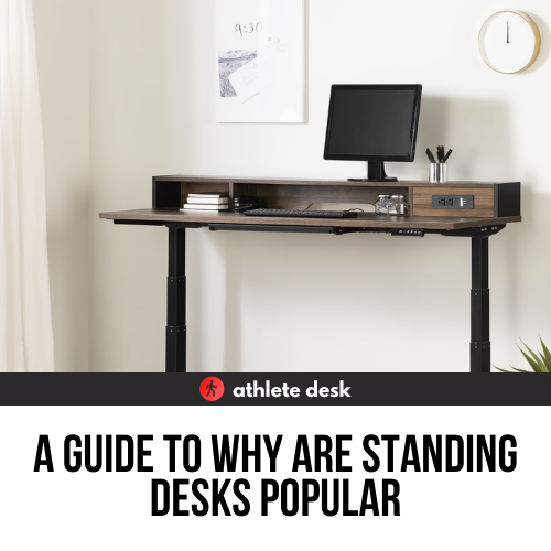 Guide To Why are Standing Desks Popular