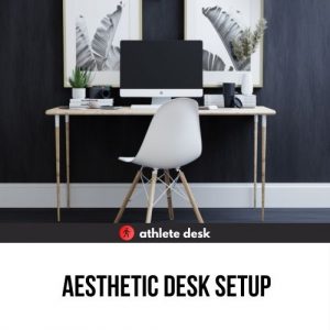 Aesthetic Desk Setup