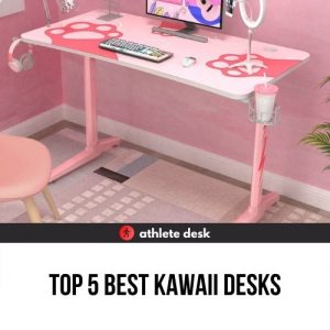 Top 5 Best Kawaii Desks